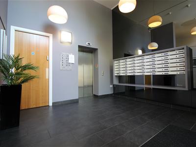 Picture 10
